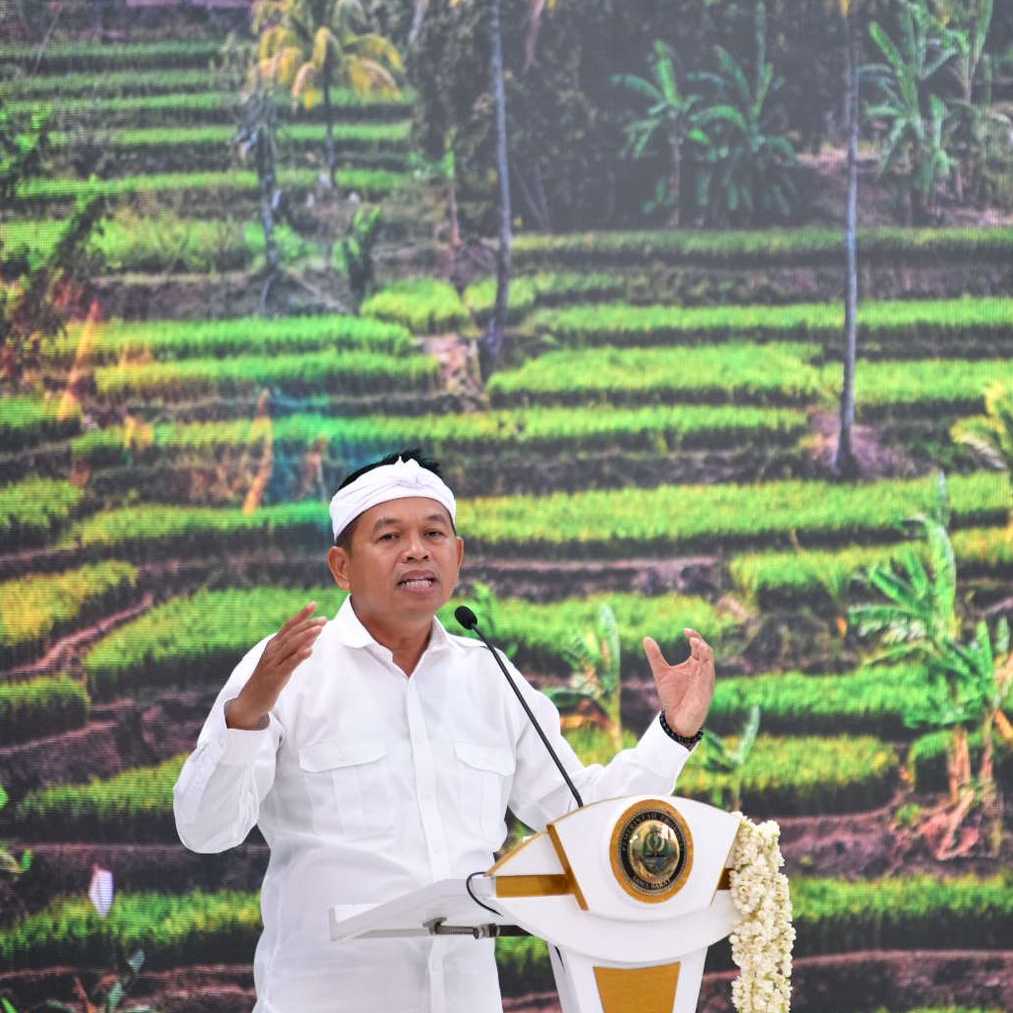 IMGDonec metus orci, malesuada et lectus vitae